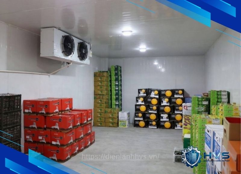 bảo quản thực phẩm HVS